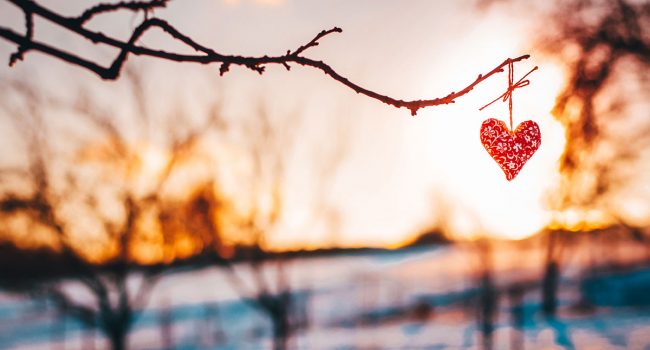 Herz an einem Strauch vor einer wunderschön beleuchteten Winterlandschaft