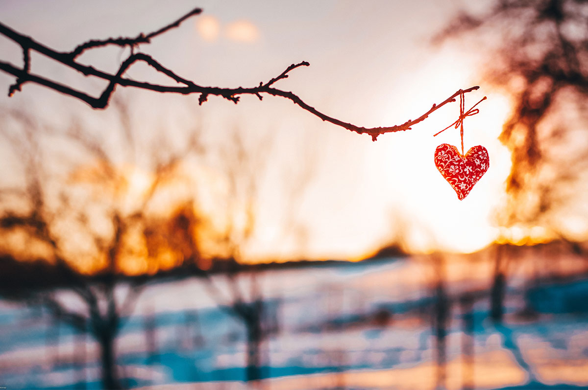 Herz an einem Strauch vor einer wunderschön beleuchteten Winterlandschaft